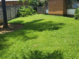 3 Bed House in Lindo Park