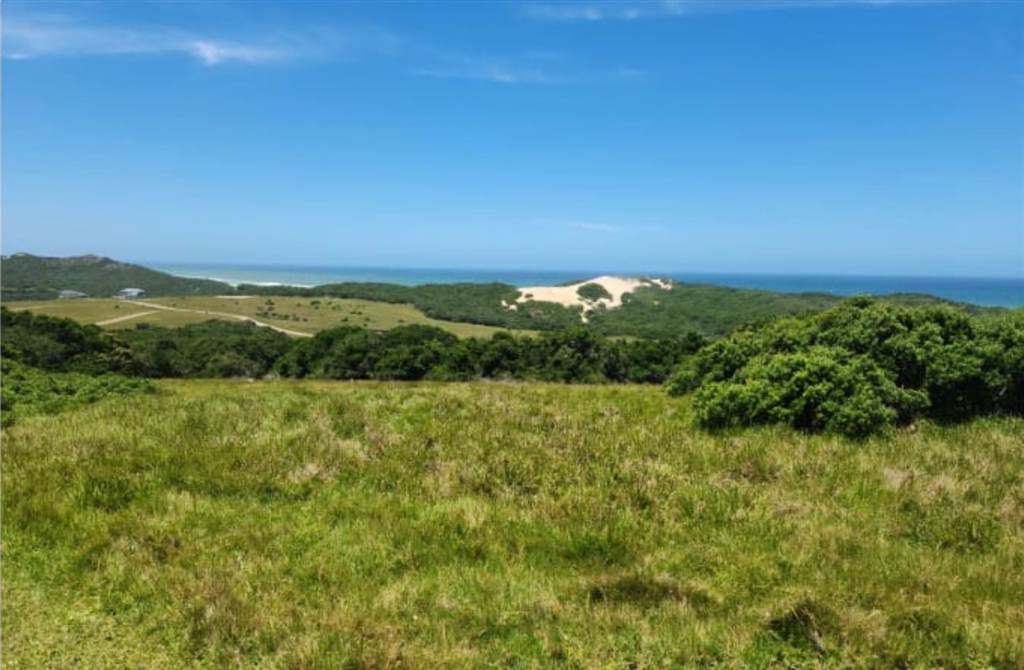826 m² Land available in Kenton-on-Sea photo number 3