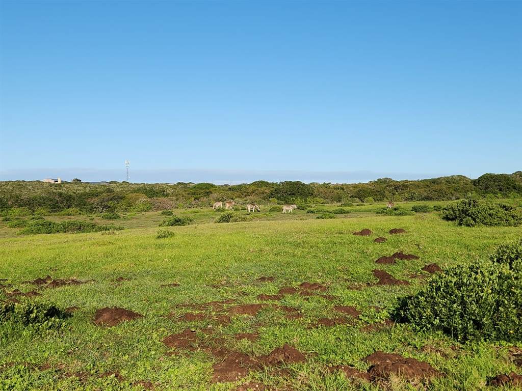 7.6 ha Land available in Stilbaai photo number 4