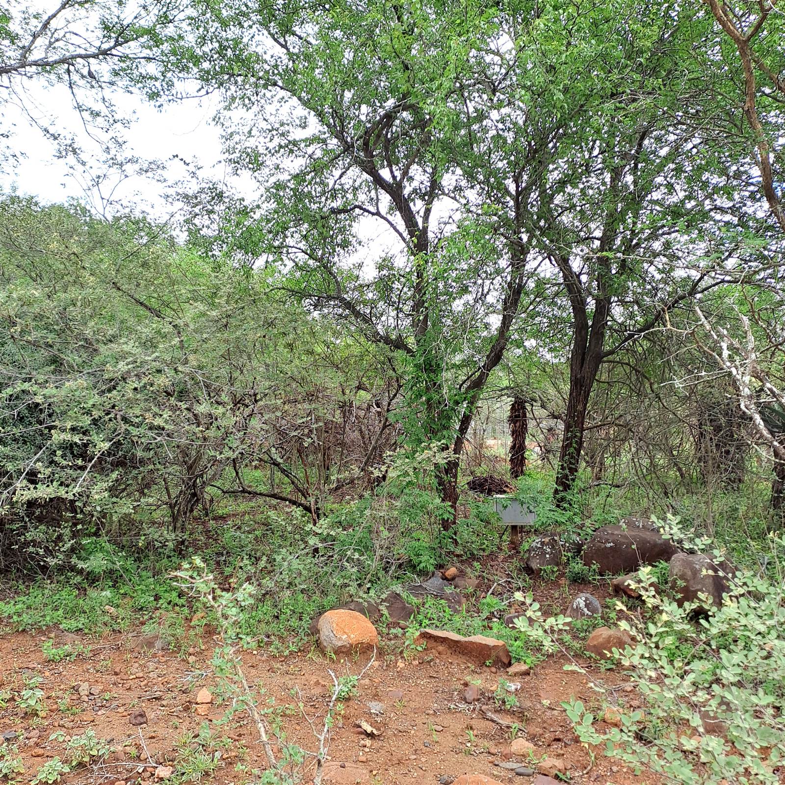 1674 m² Land available in Marloth Park photo number 3