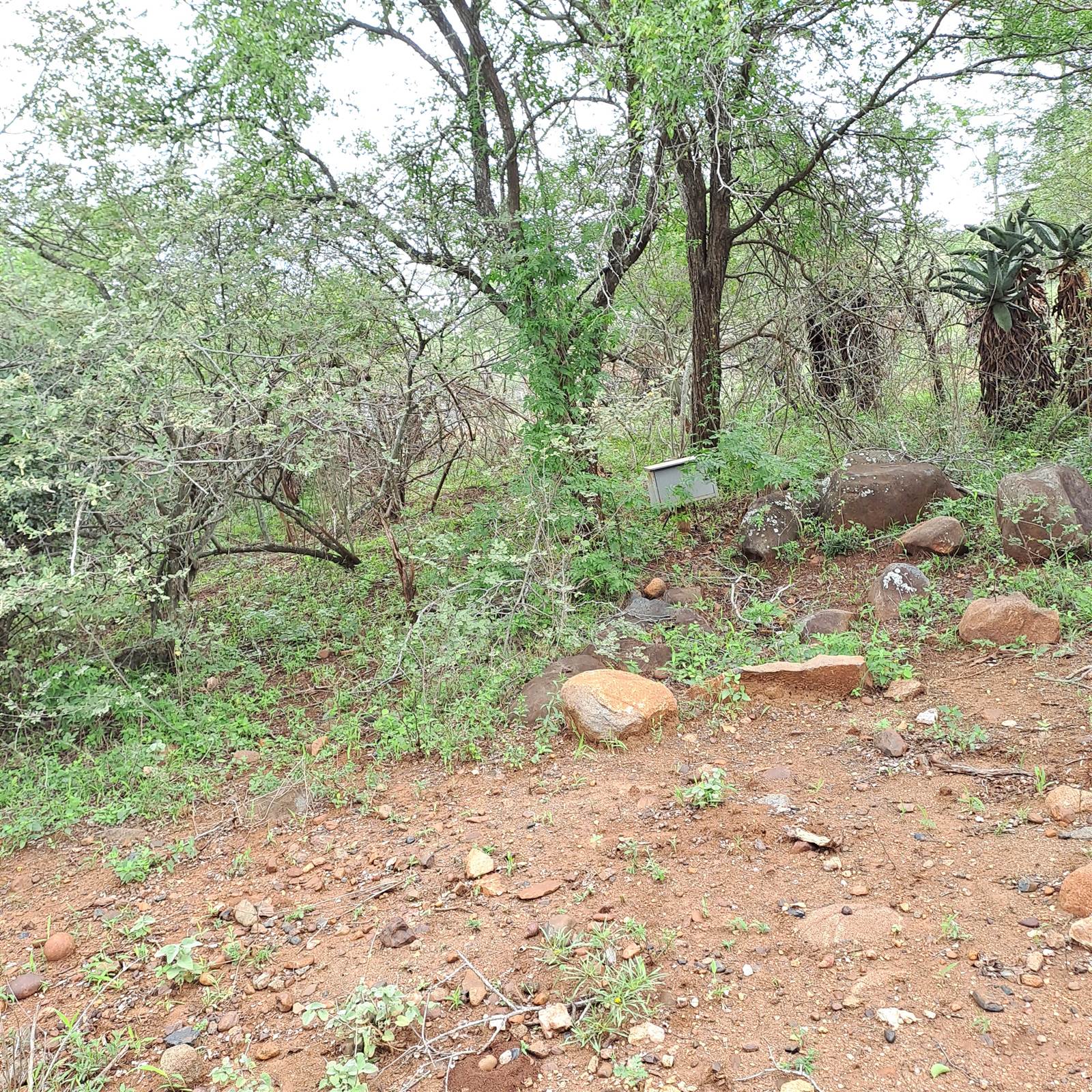 1674 m² Land available in Marloth Park photo number 1