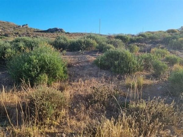 312 m² Land available in St Helena Views