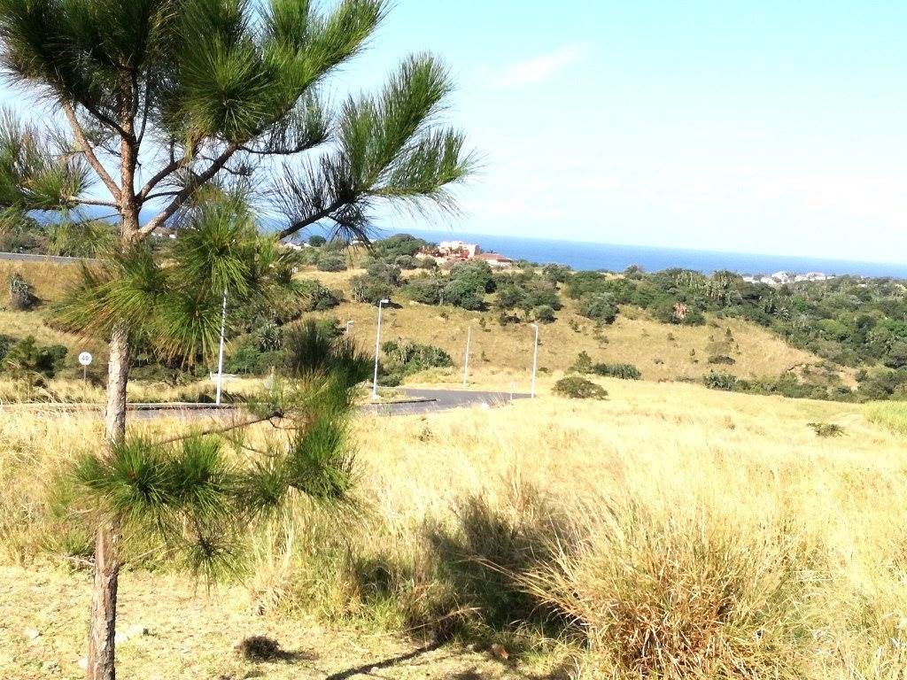 2441 m² Land available in Shelly Beach photo number 3
