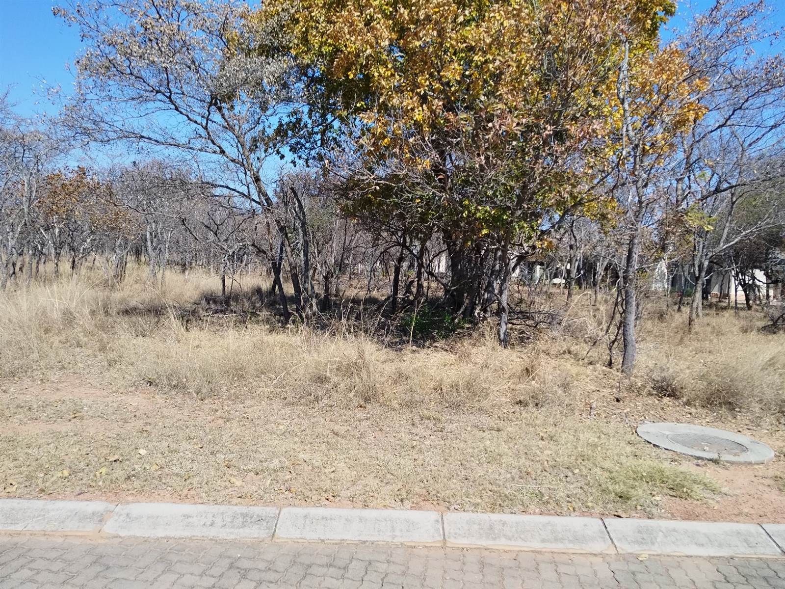 1621 m² Land available in Modimolle photo number 5