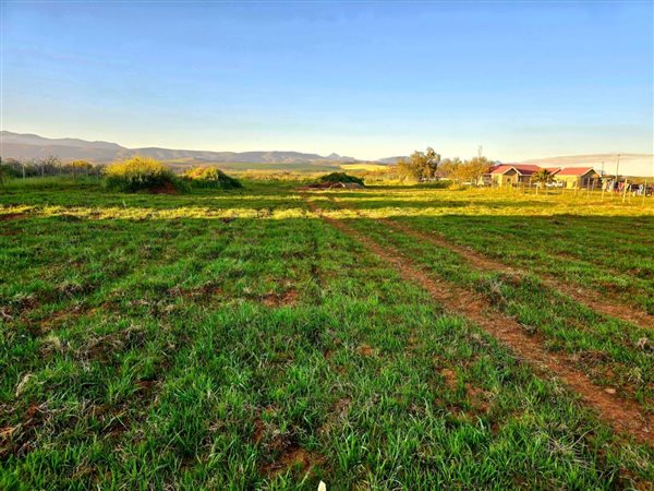 3 993 m² Land 3 993 m² Land