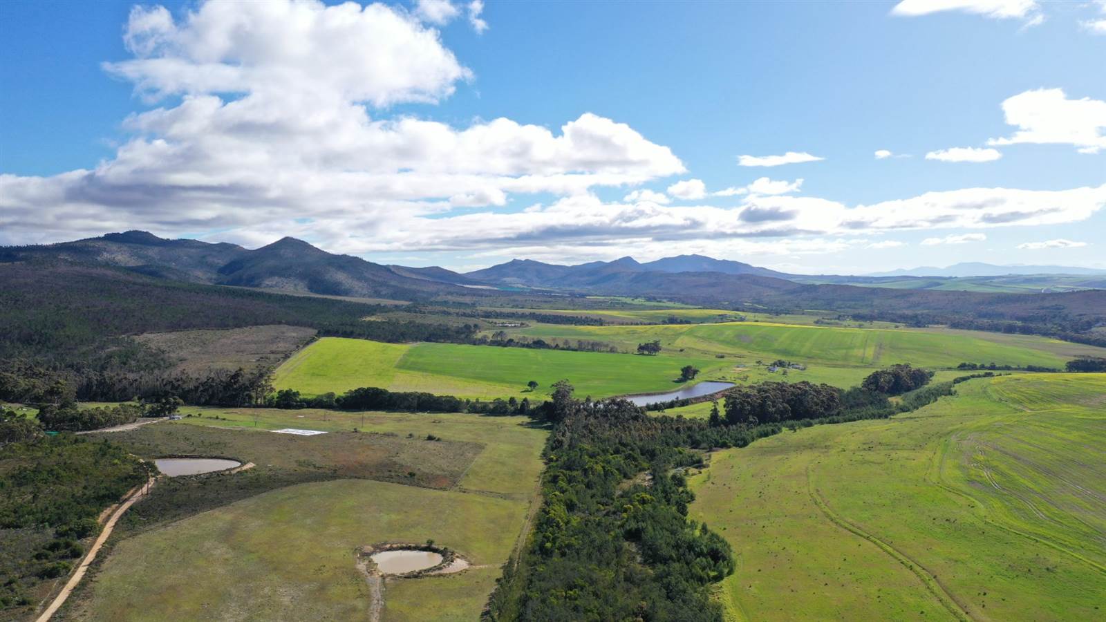10 ha Land available in Napier photo number 8