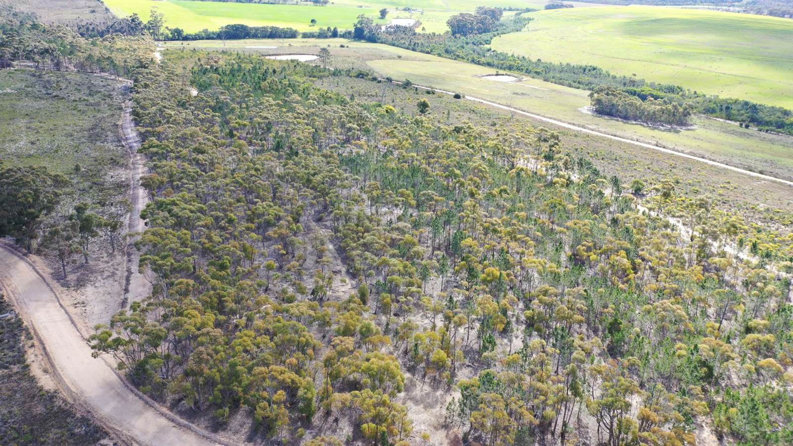 10 ha Land available in Napier photo number 6
