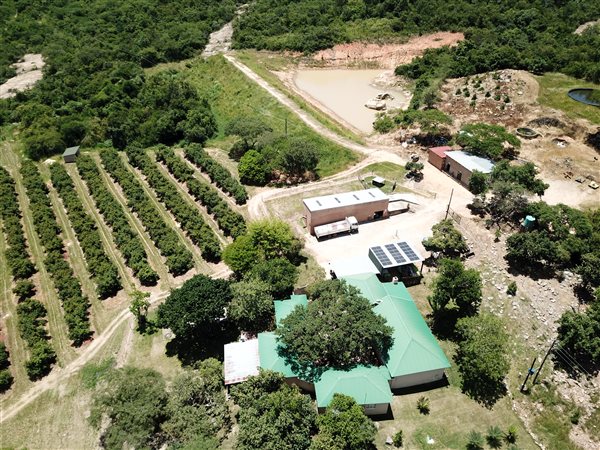 100 ha Farm 100 ha Farm