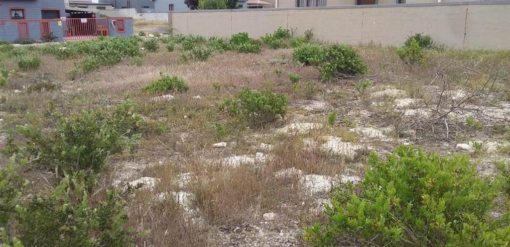 174 m² Land available in Saldanha photo number 2