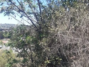 885 m² Land available in Riverview Park