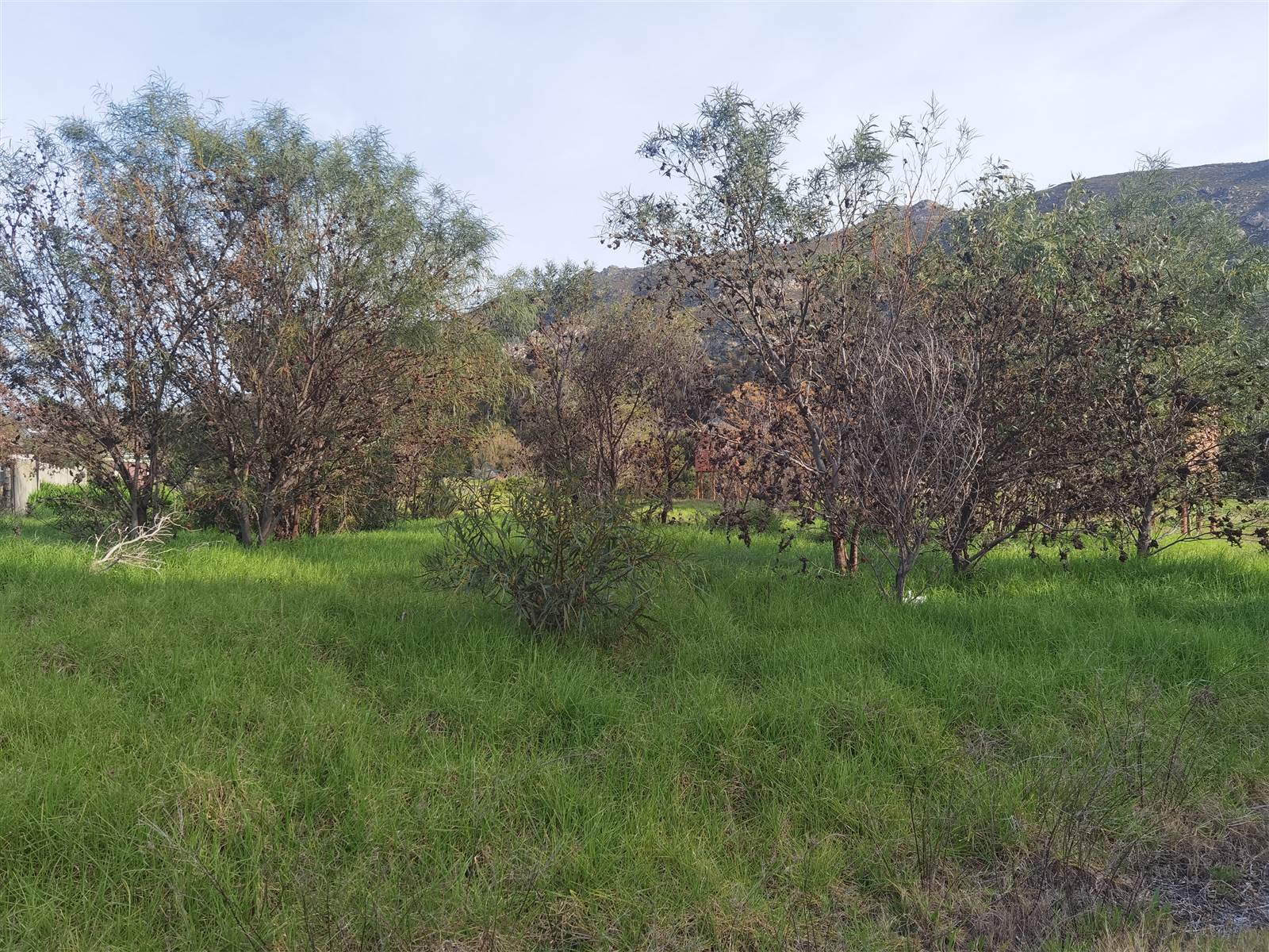 1704 m² Land available in Tulbagh photo number 2