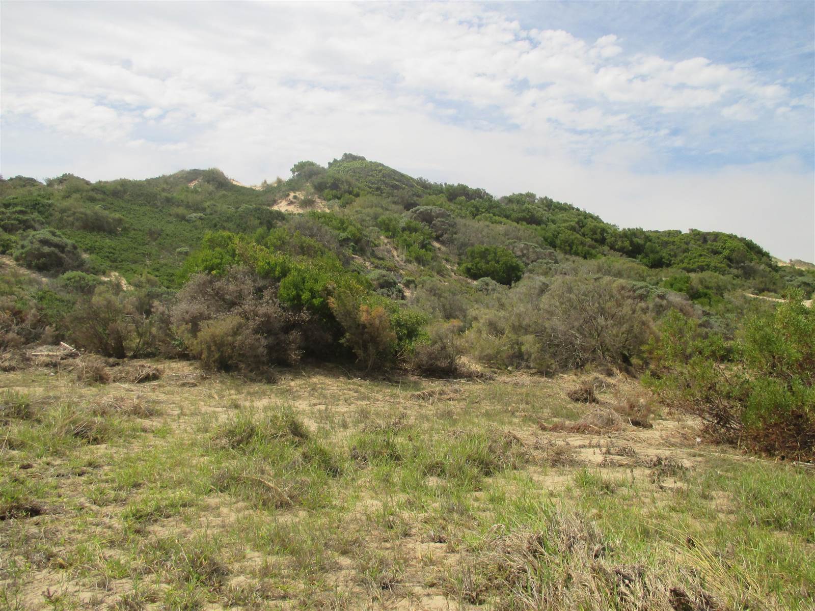 2800 m² Land available in Nautilus Bay photo number 13