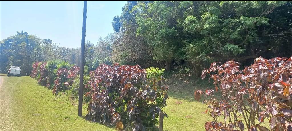 2873 m² Land available in Umtentweni photo number 9