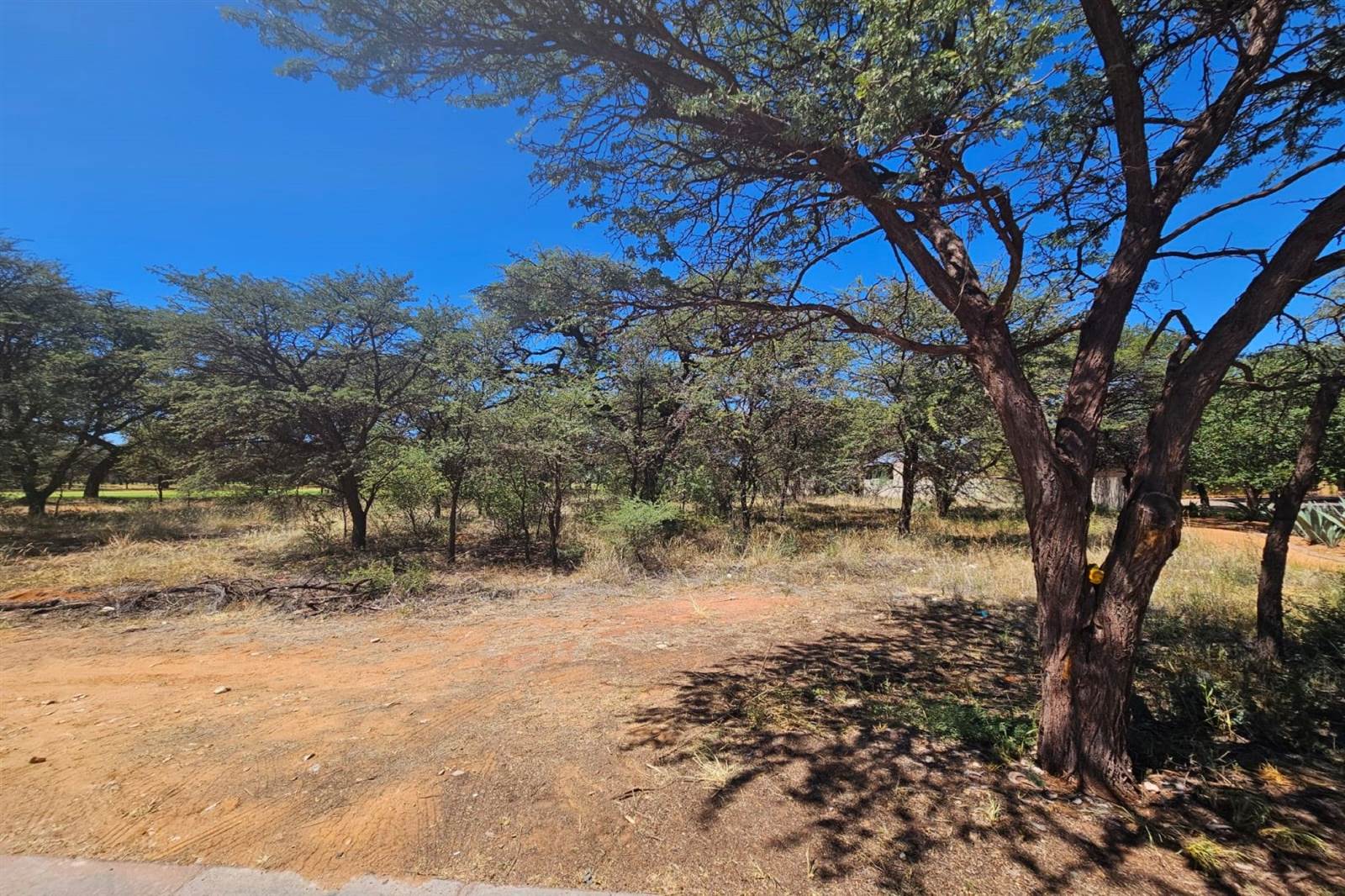1309 m² Land available in Kathu photo number 5