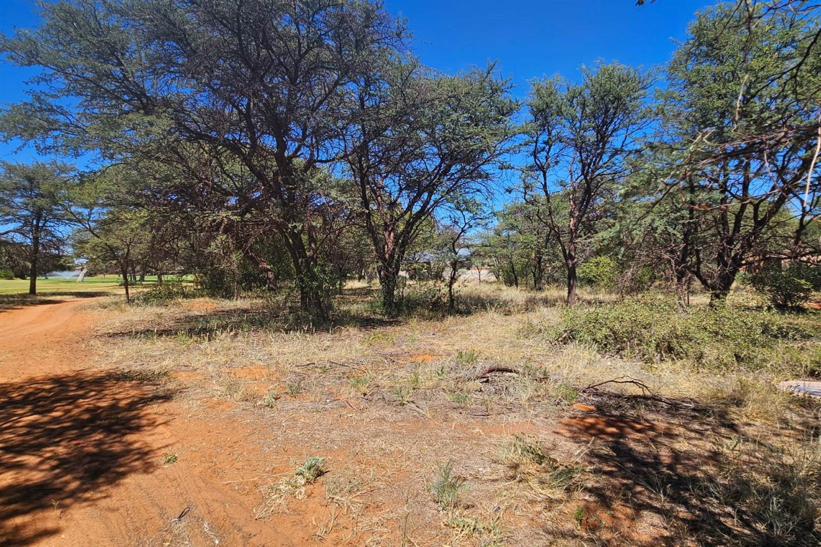 1309 m² Land available in Kathu photo number 3