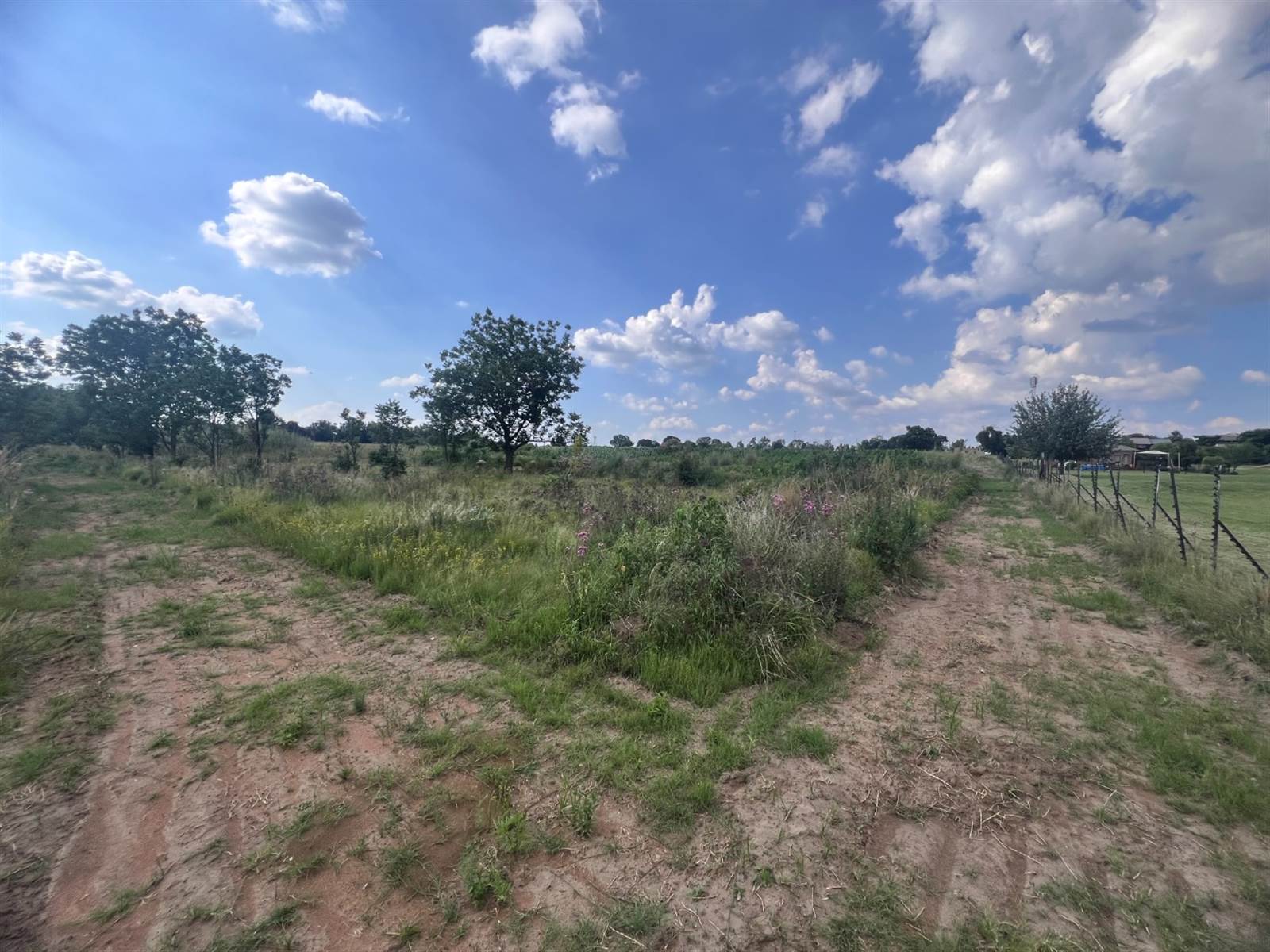 8.5 ha Land available in Mnandi AH photo number 20