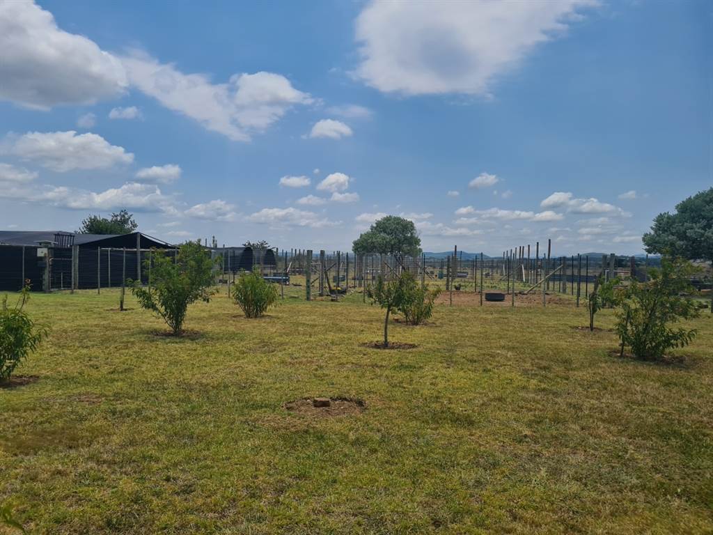 4.3 ha Smallholding in Lydenburg photo number 20