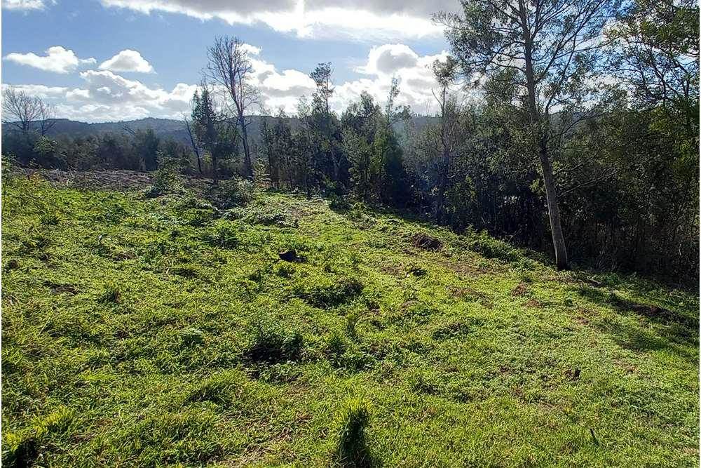 1356 m² Land available in Knysna Heights photo number 2