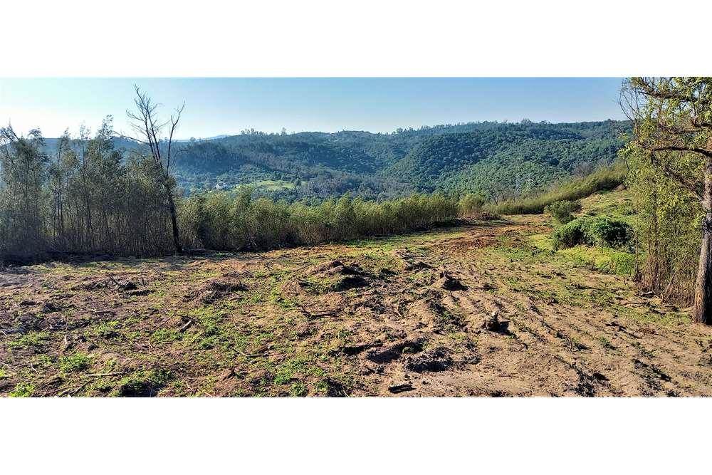 1356 m² Land available in Knysna Heights photo number 7