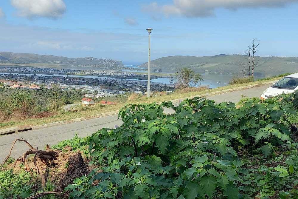 1356 m² Land available in Knysna Heights photo number 5