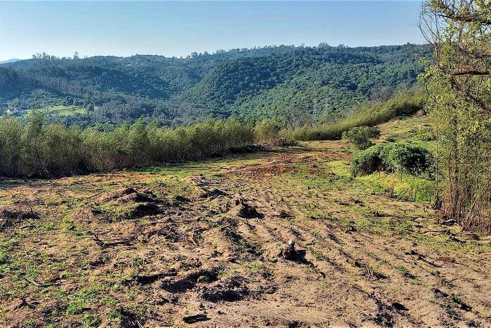 1356 m² Land available in Knysna Heights photo number 3