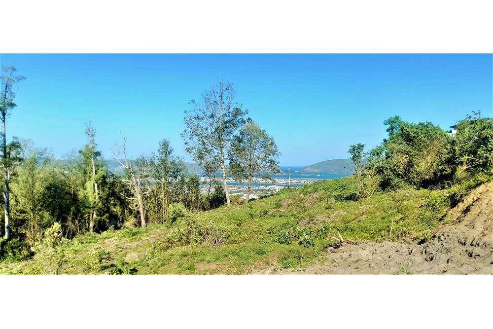 1356 m² Land available in Knysna Heights photo number 6