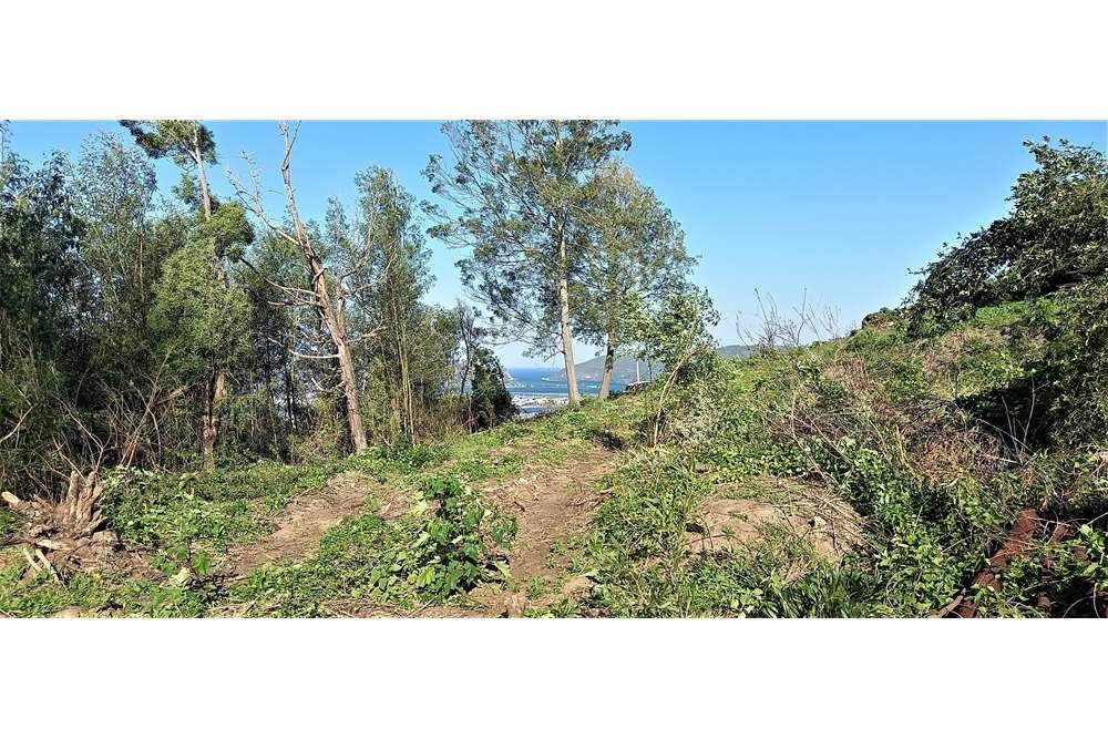 1356 m² Land available in Knysna Heights photo number 8