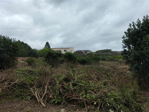 1487 m² Land available in Seaview