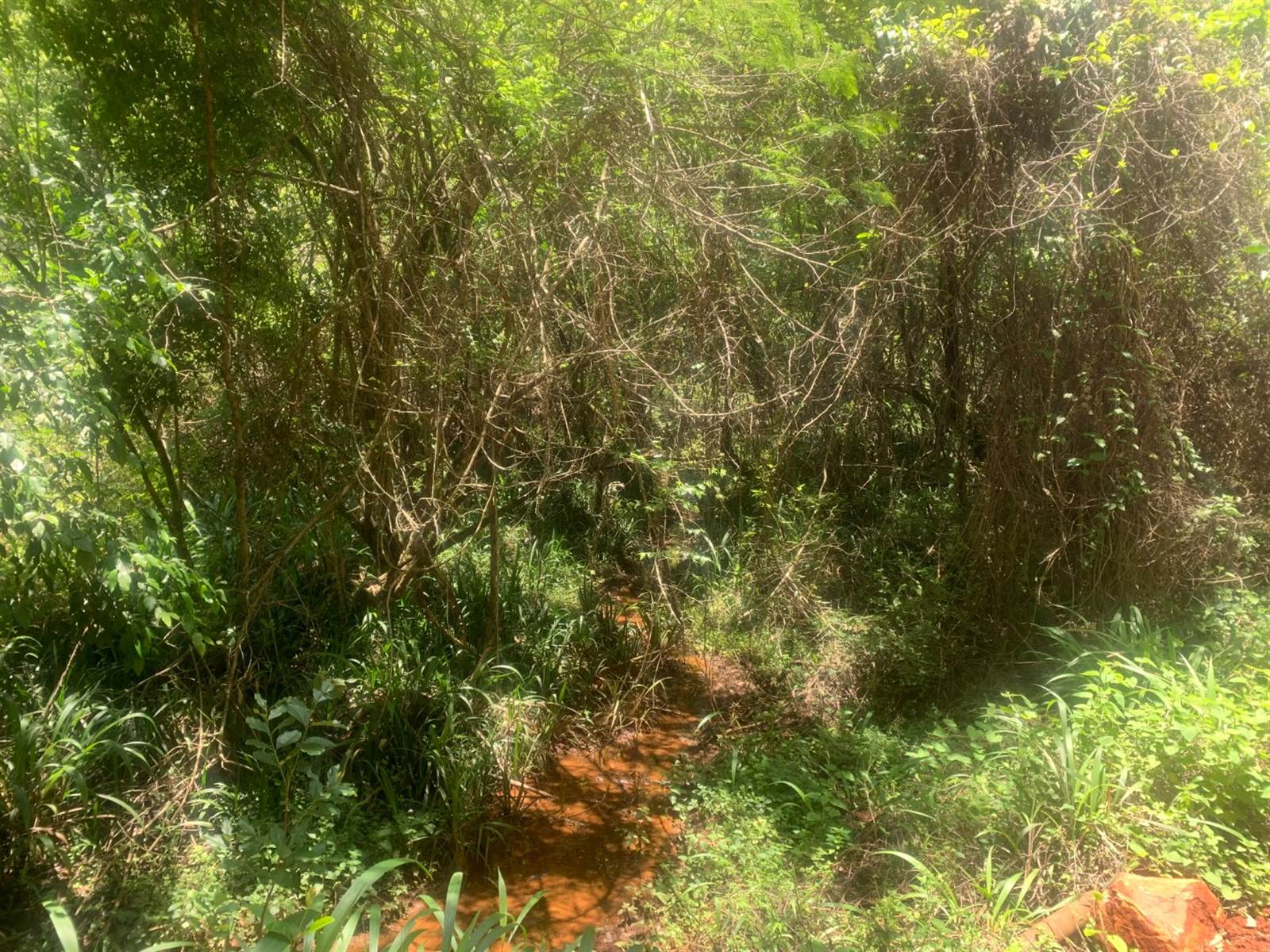154.9 ha Land available in Tzaneen photo number 12