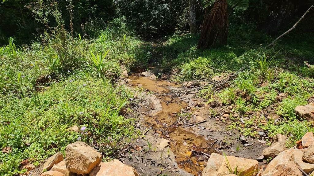 154.9 ha Land available in Tzaneen photo number 16