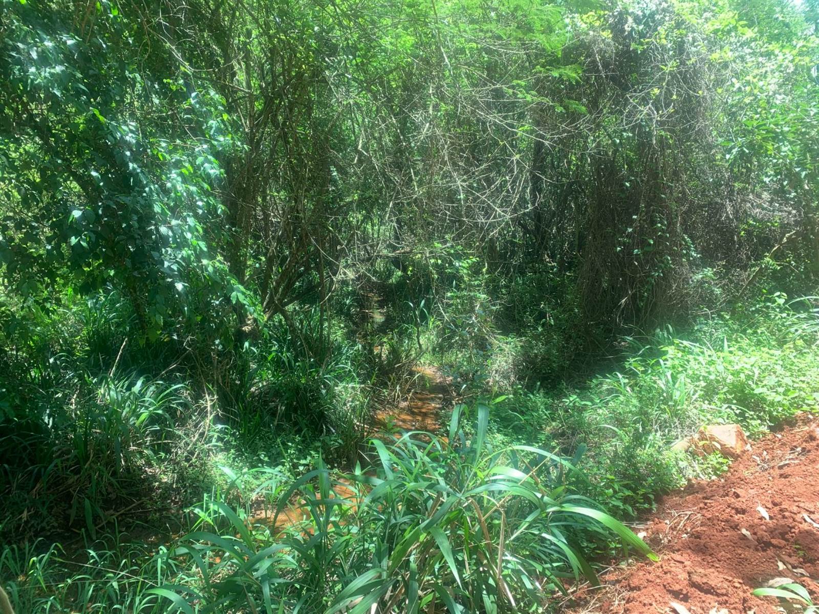 154.9 ha Land available in Tzaneen photo number 11