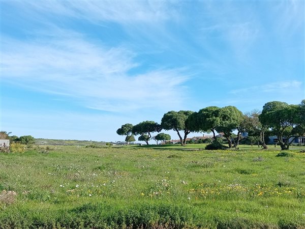 733 m² Land