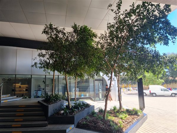 65  m² Office Space in Rosebank