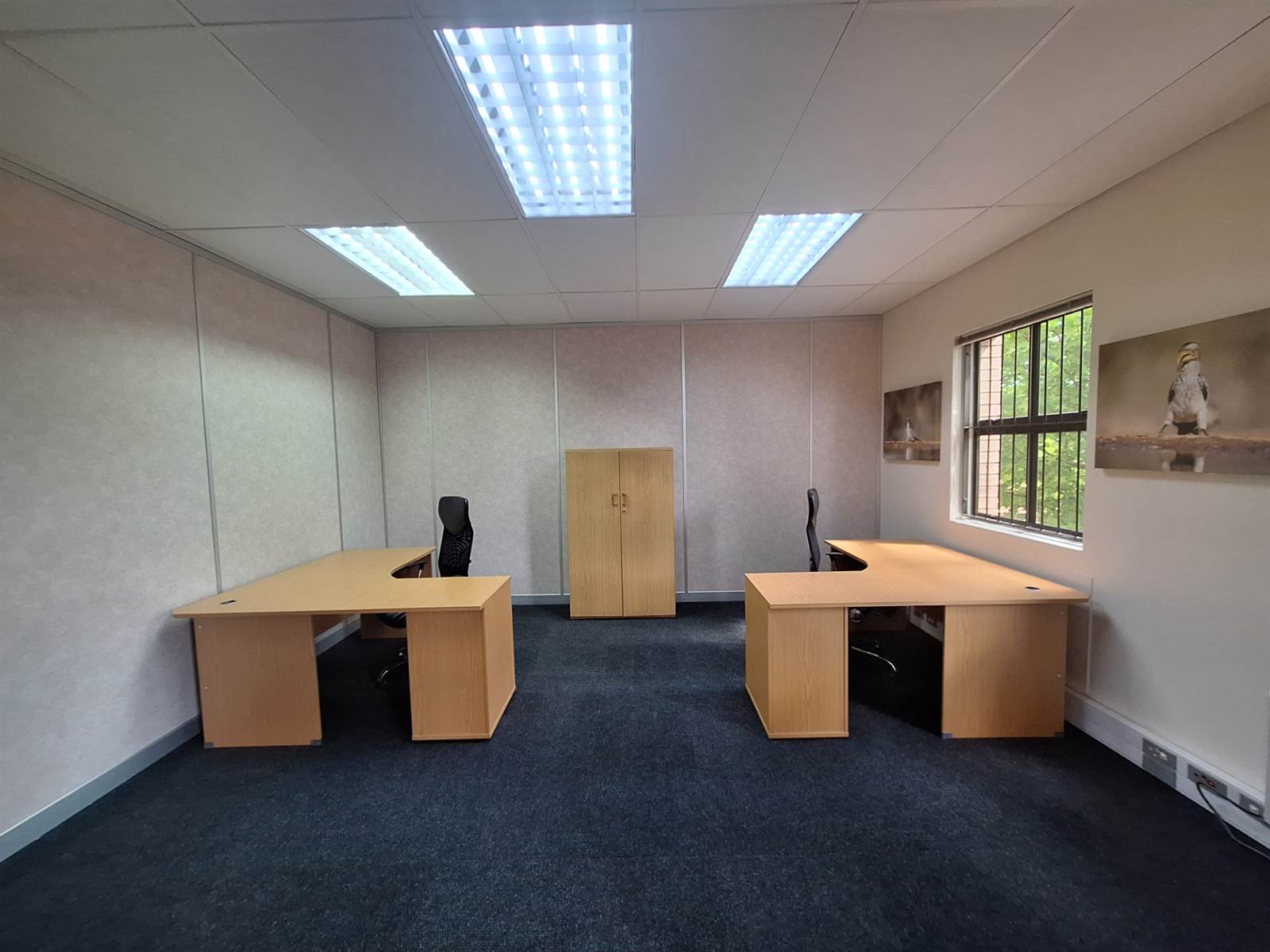 150  m² Office Space in Highveld Techno Park photo number 8