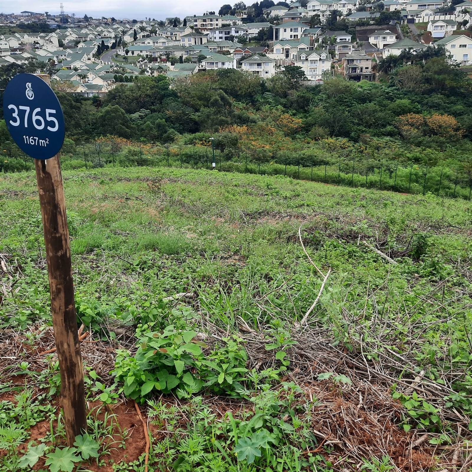 1167 m² Land available in Kindlewood Estate photo number 8