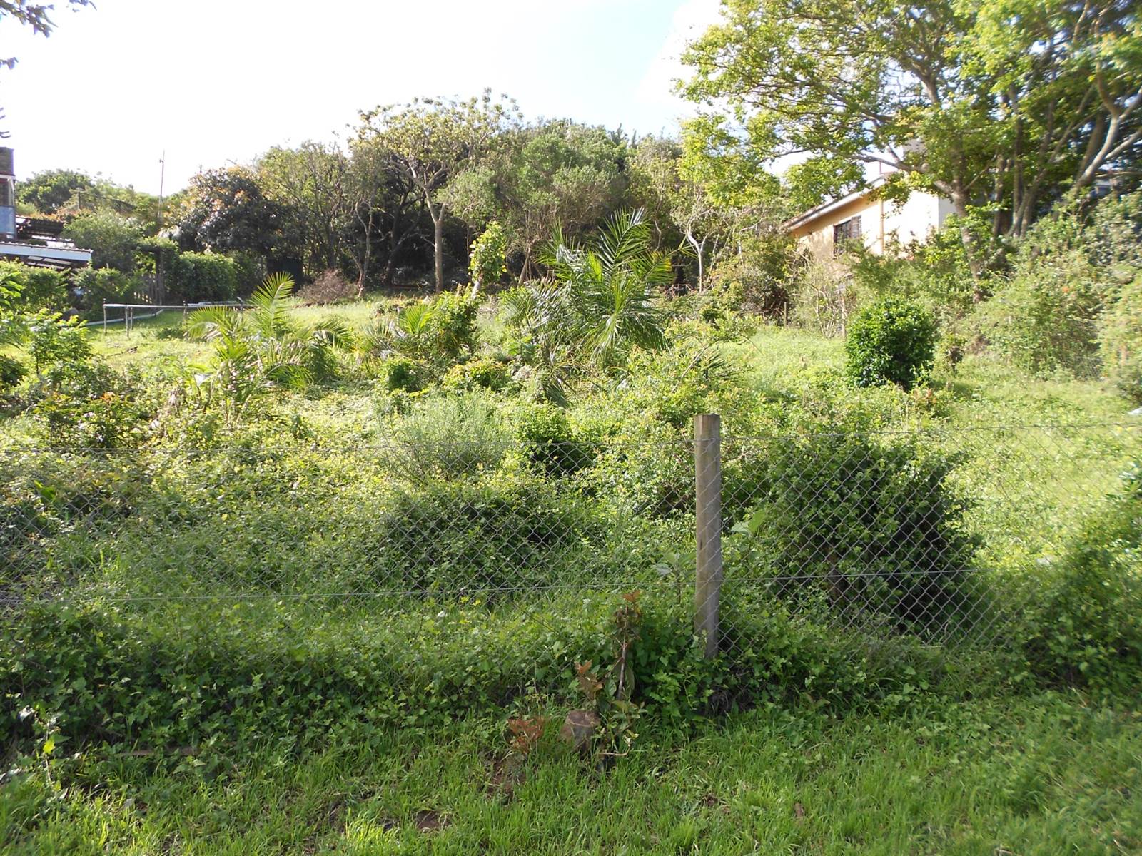 998 m² Land available in Cintsa photo number 2