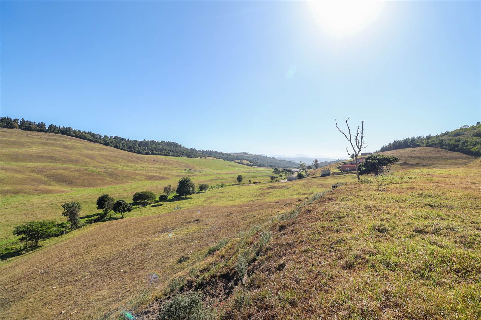 35 ha Land available in Goose Valley photo number 20