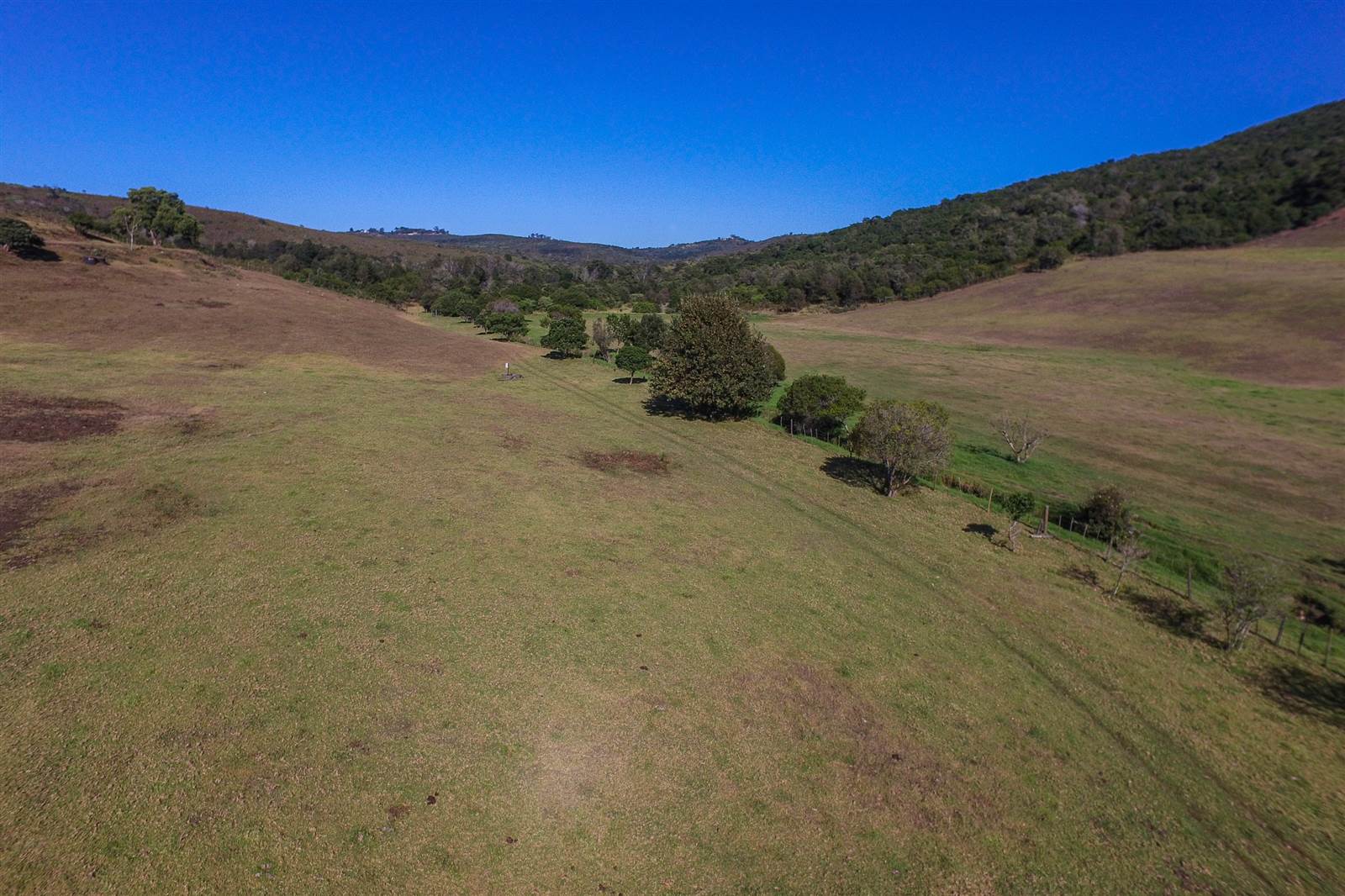 35 ha Land available in Goose Valley photo number 7