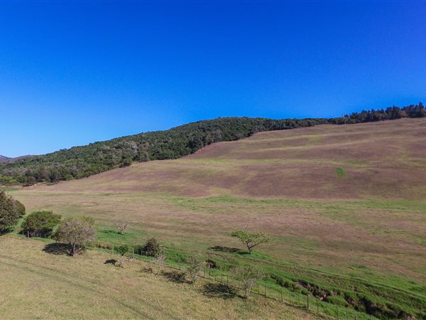 35 ha Land available in Goose Valley
