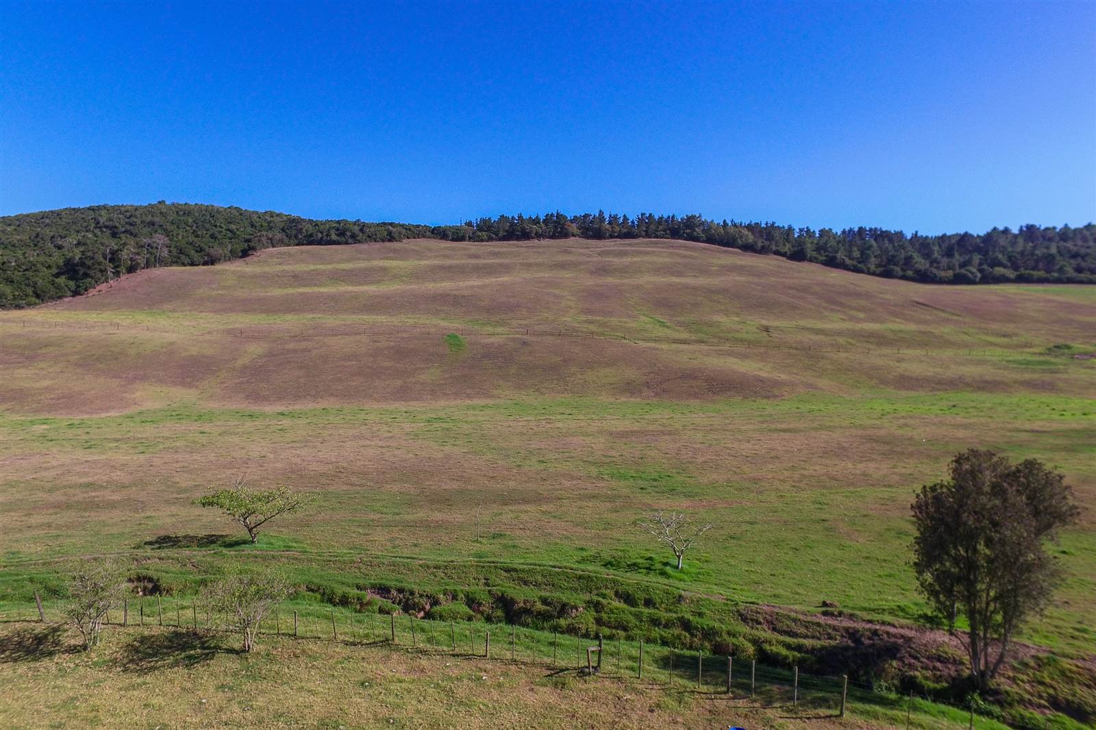 35 ha Land available in Goose Valley photo number 2