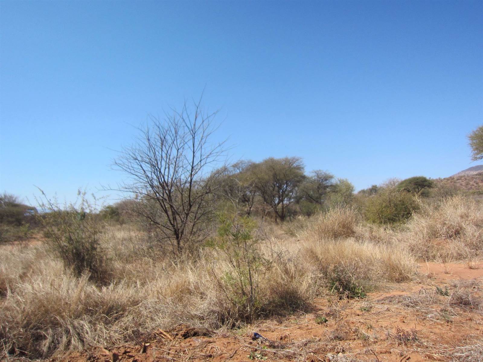 4025 m² Land available in Northam photo number 4