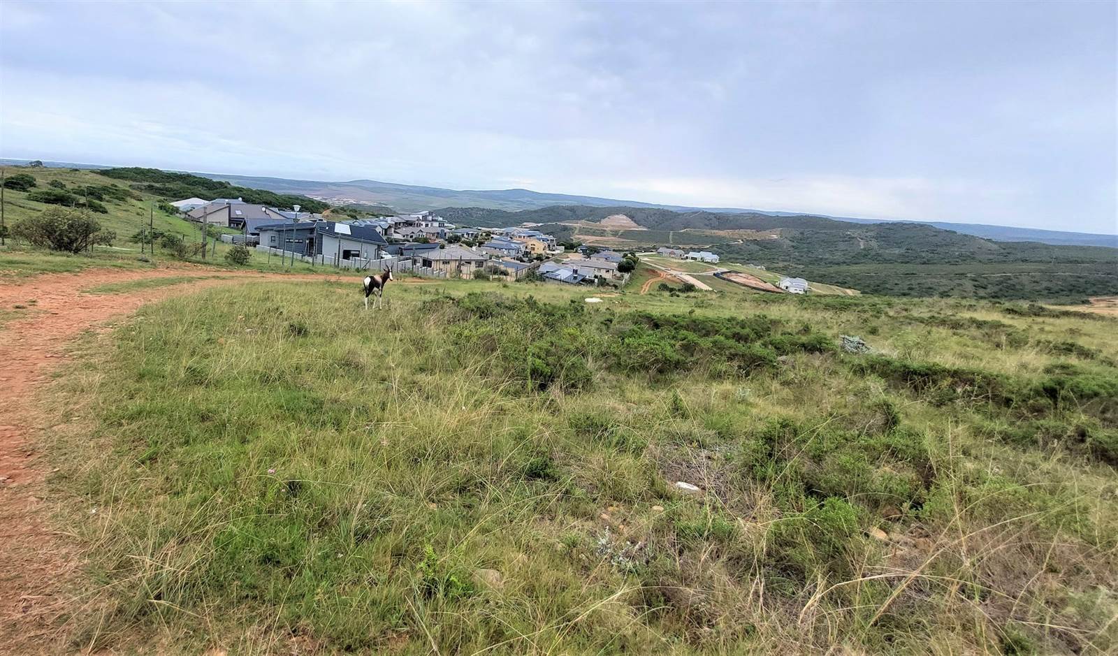 1616 m² Land available in Hartenbos photo number 3