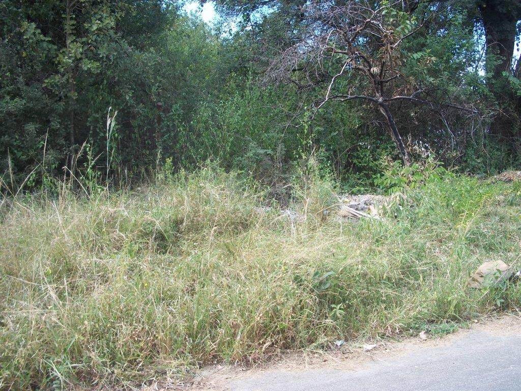 714 m² Land available in Hazyview photo number 1