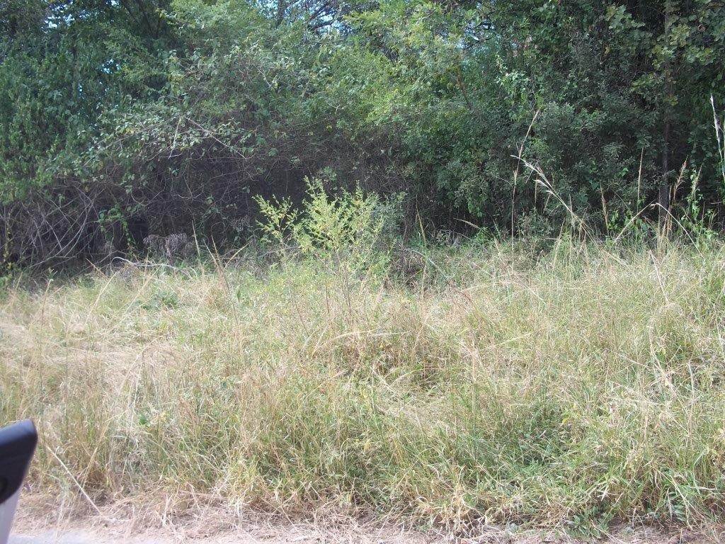 714 m² Land available in Hazyview photo number 5