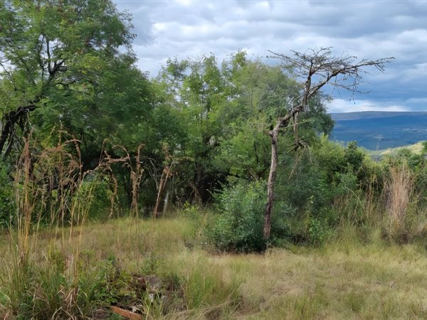 1 ha Land