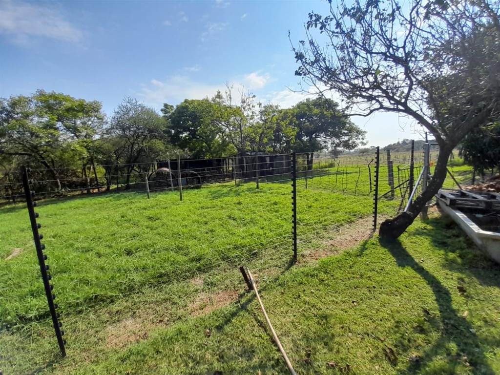 8.6 ha Farm in Bultfontein AH photo number 6