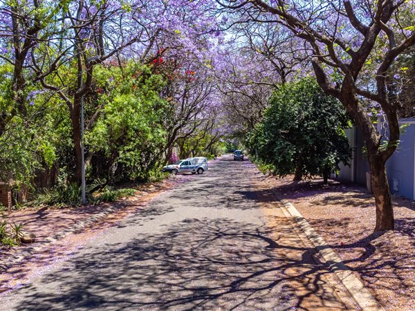 1584 m² Land available in Bryanston
