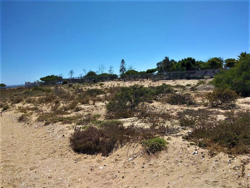 561 m² Land available in Port Owen photo number 5