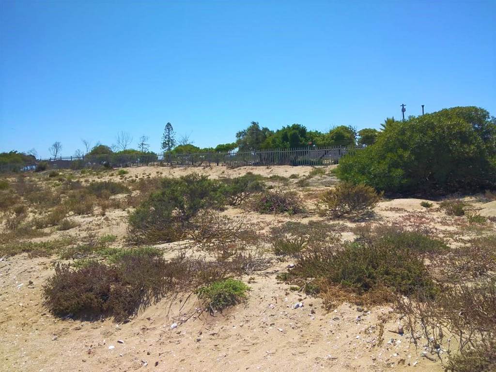 561 m² Land available in Port Owen photo number 6