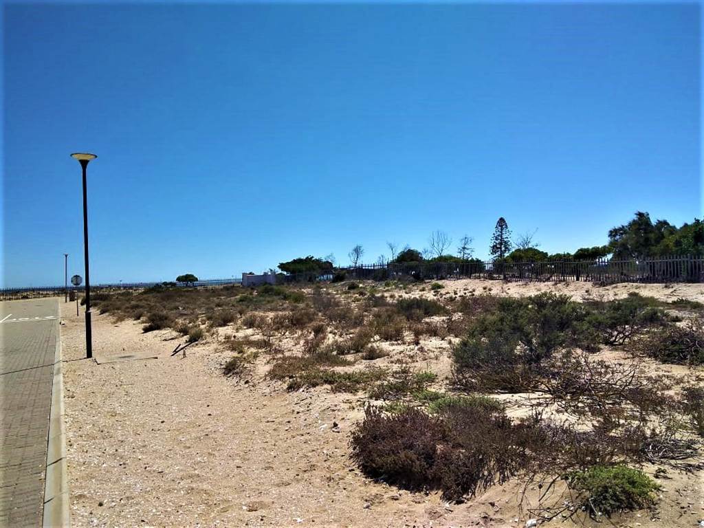 561 m² Land available in Port Owen photo number 4